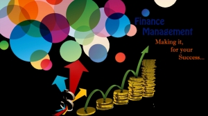 Service Provider of Finance Management Software Development Ahmedabad Gujarat 