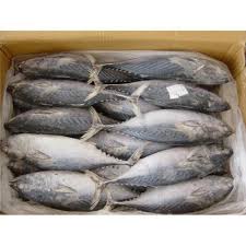 Manufacturers Exporters and Wholesale Suppliers of fish KOCHI Kerala