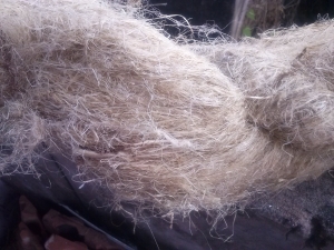 Manufacturers Exporters and Wholesale Suppliers of Flax fiber Alappuzha Kerala