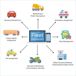 Service Provider of Vehicle Management Software Development Delhi Delhi 