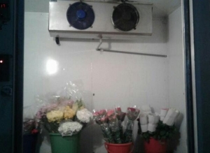 Flowers Cold Room