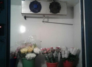 Flowers Cold Room Manufacturer Supplier Wholesale Exporter Importer Buyer Trader Retailer in New Delhi Delhi India