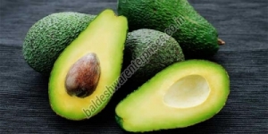 FRESH AVOCADO Manufacturer Supplier Wholesale Exporter Importer Buyer Trader Retailer in Kutch Gujarat India