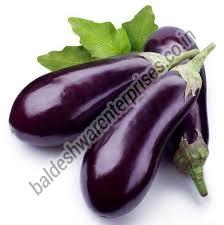 Manufacturers Exporters and Wholesale Suppliers of FRESH BRINJAL Kutch Gujarat