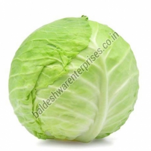 Manufacturers Exporters and Wholesale Suppliers of FRESH CABBAGE Kutch Gujarat