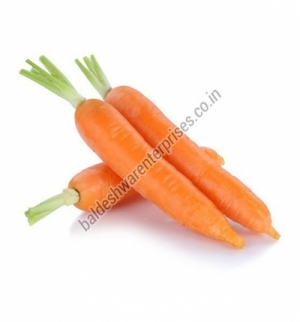 Manufacturers Exporters and Wholesale Suppliers of FRESH CARROT Kutch Gujarat