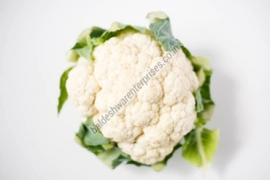 FRESH CAULIFLOWER Manufacturer Supplier Wholesale Exporter Importer Buyer Trader Retailer in Kutch Gujarat India