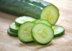 Manufacturers Exporters and Wholesale Suppliers of FRESH CUCUMBE Kutch Gujarat