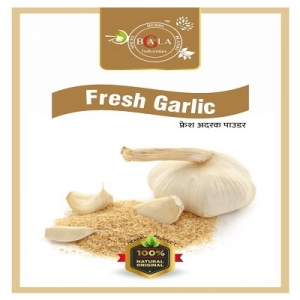 Fresh Garlic Powder Manufacturer Supplier Wholesale Exporter Importer Buyer Trader Retailer in Jaipur Rajasthan India