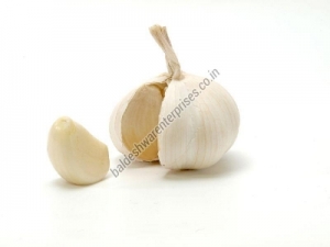 Manufacturers Exporters and Wholesale Suppliers of FRESH GARLIC Kutch Gujarat