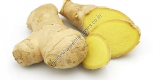 Manufacturers Exporters and Wholesale Suppliers of FRESH GINGER Kutch Gujarat