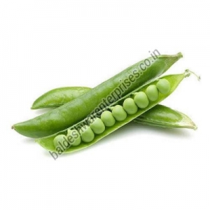 FRESH GREEN PEAS Manufacturer Supplier Wholesale Exporter Importer Buyer Trader Retailer in Kutch Gujarat India