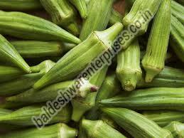 FRESH OKRA Manufacturer Supplier Wholesale Exporter Importer Buyer Trader Retailer in Kutch Gujarat India