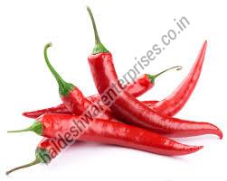 FRESH RED CHILLIES Manufacturer Supplier Wholesale Exporter Importer Buyer Trader Retailer in Kutch Gujarat India