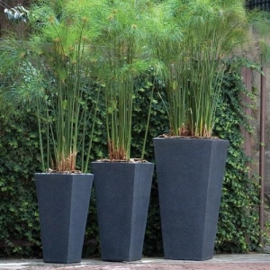 Garden Planters Manufacturer Supplier Wholesale Exporter Importer Buyer Trader Retailer in New Delhi Delhi India