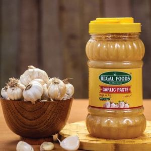 Garlic Paste Manufacturer Supplier Wholesale Exporter Importer Buyer Trader Retailer in New Delhi Delhi India