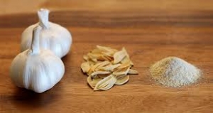 Garlic powder Manufacturer Supplier Wholesale Exporter Importer Buyer Trader Retailer in indore  India