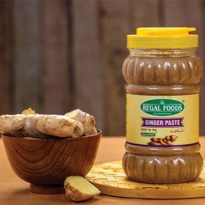 Manufacturers Exporters and Wholesale Suppliers of Ginger Paste New Delhi Delhi