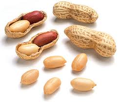 Peanuts / Groundnut Kernal Manufacturer Supplier Wholesale Exporter Importer Buyer Trader Retailer in Rajkot Gujarat India