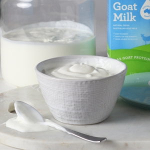 Goat Milk Yogurt Manufacturer Supplier Wholesale Exporter Importer Buyer Trader Retailer in Chennai Tamil Nadu India