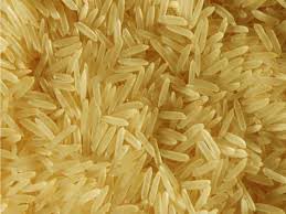 Manufacturers Exporters and Wholesale Suppliers of Sharbati Golden Ghaziabad Uttar Pradesh