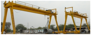 Goliath Crane Manufacturer Supplier Wholesale Exporter Importer Buyer Trader Retailer in Ahmedabad Gujarat India