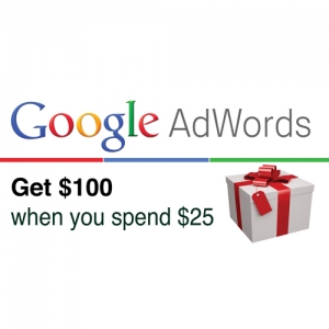 Service Provider of Adwords Coupon Ludhiana Punjab