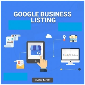 Google Local Business Listing Services in Delhi Delhi India