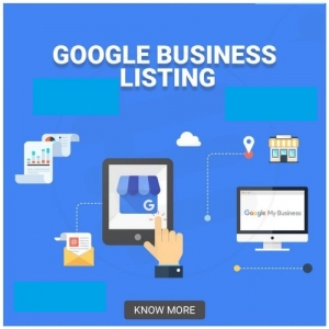 Service Provider of Google Local Business Listing Delhi Delhi 