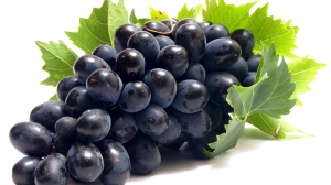 Grapes Manufacturer Supplier Wholesale Exporter Importer Buyer Trader Retailer in sangli Maharashtra India