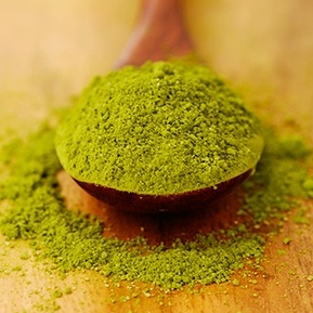 Manufacturers Exporters and Wholesale Suppliers of Green Tea Extract Guwahati Assam