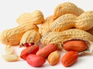 GROUNDNUTS Manufacturer Supplier Wholesale Exporter Importer Buyer Trader Retailer in Kutch Gujarat India