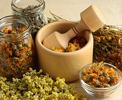 Hair care Herbs Manufacturer Supplier Wholesale Exporter Importer Buyer Trader Retailer in Pali Rajasthan India