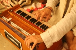 Harmonium Classes Services in Delhi Delhi India