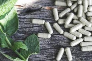 herbal pain killers Services in New Delhi Delhi India