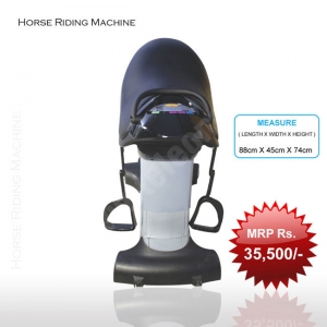 Manufacturers Exporters and Wholesale Suppliers of Horse Riding Machine Delhi Delhi
