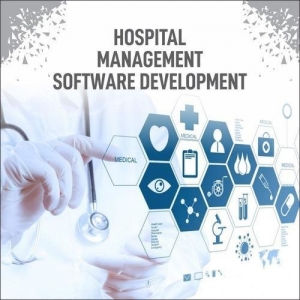 Hospital Software Development Services in Delhi Delhi India