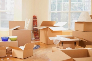 Service Provider of House Hold Shifting Meerut Uttar Pradesh