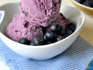 Service Provider of Gulaberry Ice Cream Delhi Delhi 