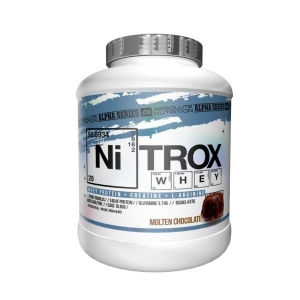 Manufacturers Exporters and Wholesale Suppliers of ABSOLUTE NITROX WHEY 2kg Ghaziabad Uttar Pradesh