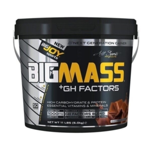 Manufacturers Exporters and Wholesale Suppliers of BIGJOY BIG MASS 4kg Ghaziabad Uttar Pradesh