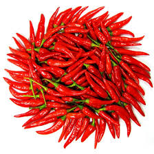 CHILLI SEED Manufacturer Supplier Wholesale Exporter Importer Buyer Trader Retailer in Hochiminh City  Vietnam