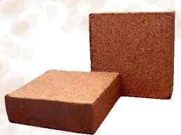 Coir Pith Briquettes