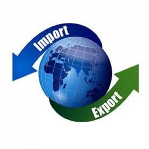 Import Export License Services in Delhi Delhi India