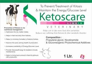 Manufacturers Exporters and Wholesale Suppliers of KETOS CARE LIQ AMBALA CITY Haryana