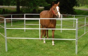 Manufacturers Exporters and Wholesale Suppliers of Portable Horse Panels HengShui 