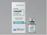 Manufacturers Exporters and Wholesale Suppliers of LINCOMYCIN INJECTION Surat Gujarat