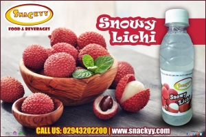 Litchi Drink Manufacturer Supplier Wholesale Exporter Importer Buyer Trader Retailer in Udaipur Rajasthan India