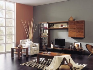 Service Provider of Living Room Bhubaneswar Orissa 
