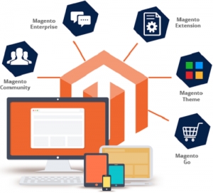 Magento Website Development Services in Delhi Delhi India